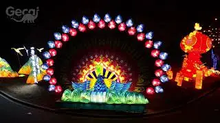 Giant Peacock Lantern Group for Show | Festival Lantern