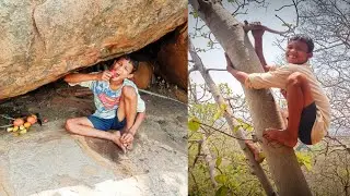 find fruit in jungle survival skills//rich fruit at up the hill//Indian jungle