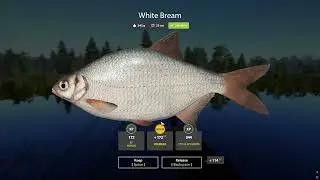 Old Burg Lake White Bream Trophy Fish | Russian Fishing 4 Gameplay (2026)