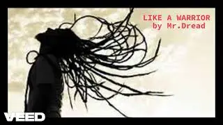 LIKE A WARRIOR      by Mr. Dread