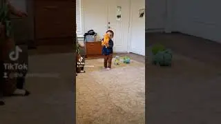 Children Choose Their Starter Pokemon