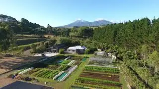 Welcome to Roebuck Farm