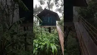 Munnar Tree House Tour | Inside Eterno Camellia & Elettaria Resort