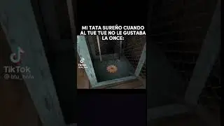 pájaro reconchetuma-