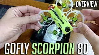 Spedix Rex/GoFly Scorpion 80 brushless 2s Whoop Overview