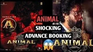 Animal Movie Day 15 Advance Booking Report | Animal Day 15 Box Office Collection #animal