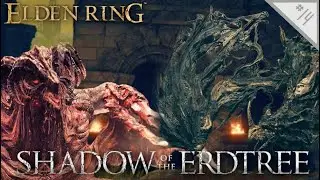 THIS IS DRAGON ON TOO MUCH | Elden Ring: Shadow of the Erdtree (Blind) - Part 14