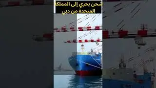 Cargo To Uk From Dubai  #dubai #freightforwarding #uk