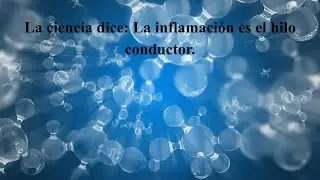 La ciencia dice: La inflamaci&oacute;n es el hilo conductor.