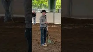 Your horse is not being disrespectful. He just wants to feel safe.