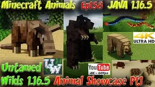 Untamed Wilds Mod 1.16.5 Animal Showcase Updated Pt1 JAVA 1.16.5 Super Cool Minecraft Animals Ep138