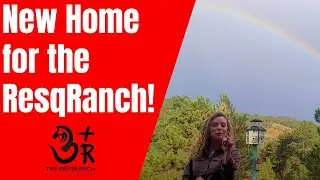 We found the ResqRanch! A new home for our horse rescue organization!