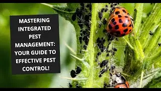 Dominate Integrated Pest Management: The Ultimate Pest Control Handbook!
