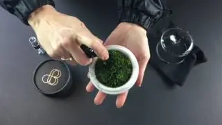 Setting up Sanctuary-S by Botanica (Marble & Concrete) MK2