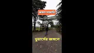 || গরুমারা ন্যাশনাল পার্কে জিপ সাফারি || Jeep Safari in Gorumara National Park in Dooars || 2019