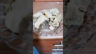 Insane Afghan Landi Herat Fat Sheep Footage! Don't Miss Out! 🐑 #Sheep #Afghanistan