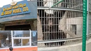 ZOO SA SAUDI (AL AHSA)
