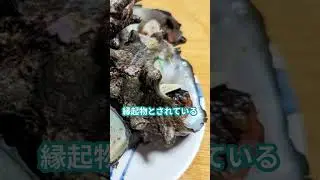 🐚✨\*\*「知らなきゃ損！身近だけど不思議すぎるサザエの世界」\*\*🌊 #サザエ  #プチ知識 #雑学 #生態解説 #貝 #海の生き物 #自然 #shorts