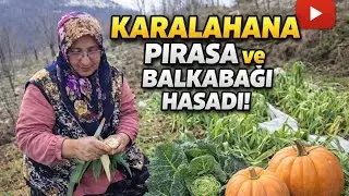 ❄️ Kış Hasadı! Kızımızın Bahçesinden Pırasa 🥬 Karalahana 🎃 Balkabağı Aldık