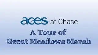 A Tour of Great Meadows Marsh