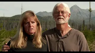 Forestry Conservation: Challenges and Rewards