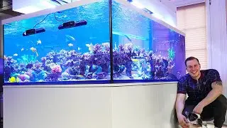 GERMAN REEF TANKS - New 2250 liter aquarium - Michael's XXL project * SPS AQUASCAPE *
