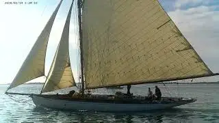 Maldon Regatta race 27/9/25 onboard Mayfly sailing smack. Get second position overall.