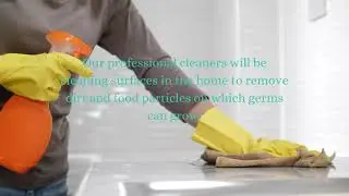 Best Chicago Cleaning Services
