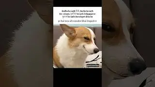 Dogesh bhai #memes #popular #viral #funnymemes #tweetreels #dogesh