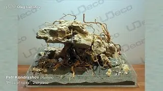 UDeco Live Hardscaping Contest (pt.2) - ZooSphere 2014