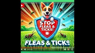 How to Preventing Fleas and Ticks