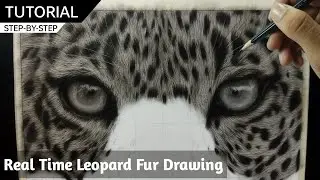 Draw with me - Leopard  Face Drawing With Charcoal Pencil | Tutorial for BEGINNERS