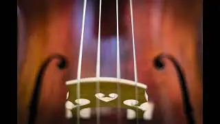 E drone, real cello, for scale practice A = 440 hz. backing track 10 minutes