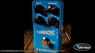 TC Electronic Flashback 2 Delay and Looper Pedal - In-Depth Review!