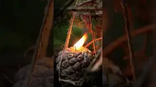 DIY Natural Candles with Pine Fruit & Resin!🌲🕯️#survival #lifehacks #camping #bushcraft  #candle