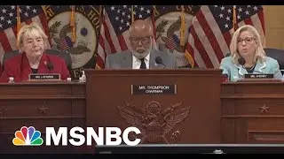 Trump Knew He Lost, But Continued To Lie | Zerlina.