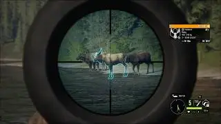 [26] theHunter: Call of the Wild vom 13. Jan. 2026
