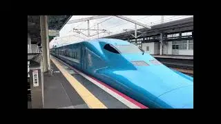 Shinkansen and various Japanese trains
