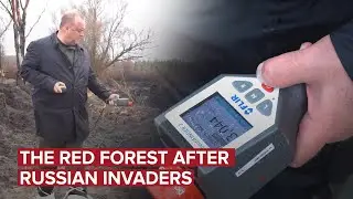 The red forest after Russian invaders