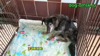 Итоги дня 12.01.2026