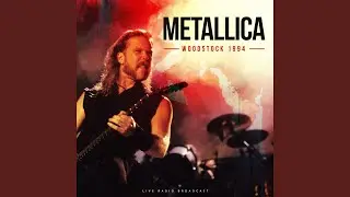 Harvester Of Sorrow (Live)