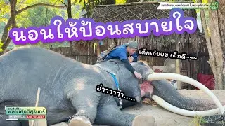 ตามติดชีวิต #พลายศักดิ์สุรินทร์ 7 ม.ค. 2568 แอดเดียร์ กำนัน หญิงฐา ครบทีม พูดคุยเรื่องวันเด็ก
