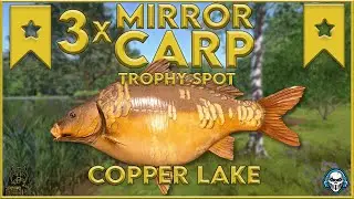 3x MIRROR CARP TROPHY SPOT! COPPER LAKE - Russian Fishing 4 #rf4 #русскаярыбалк