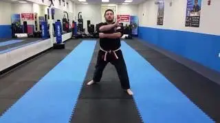CMB Karate Advanced Green Belt Form - Yul-Guk