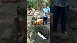 PET FUNERAL - ROYAL SEND-OFF - SUPPORTING YOU THROUGH GRIEF