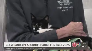 Cleveland Animal Protective League's Fur Ball gala returns to support shelter animals in need