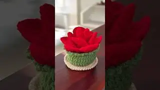 Crochet Coaster set | Easy crochet coaster tutorial | Beginner crochet | Heart coaster