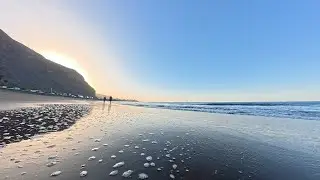 La Gomera - Mellow Morning / mixed by Barry Burton