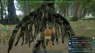 Dinosaur Adventure napod (ARK: SURVIVAL EVOLVED)