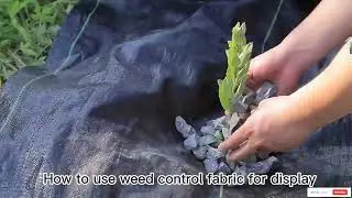 Weed control fabric water permeability test and usage demonstration
